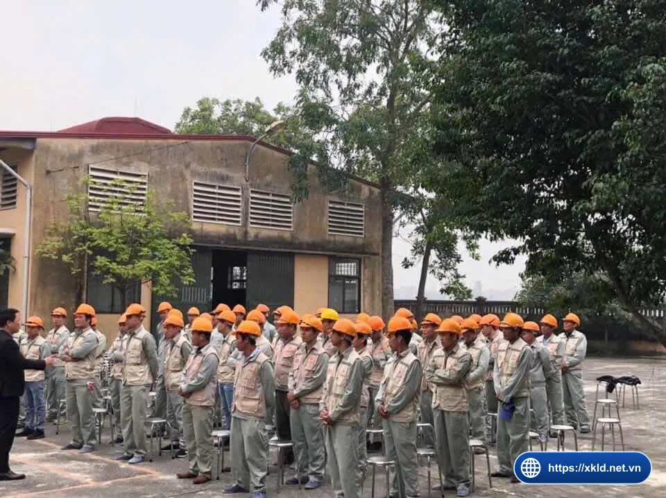 Lao động nam đội mũ bảo hộ nghe hướng dẫn trong buổi thi tuyển đơn hàng xây dựng